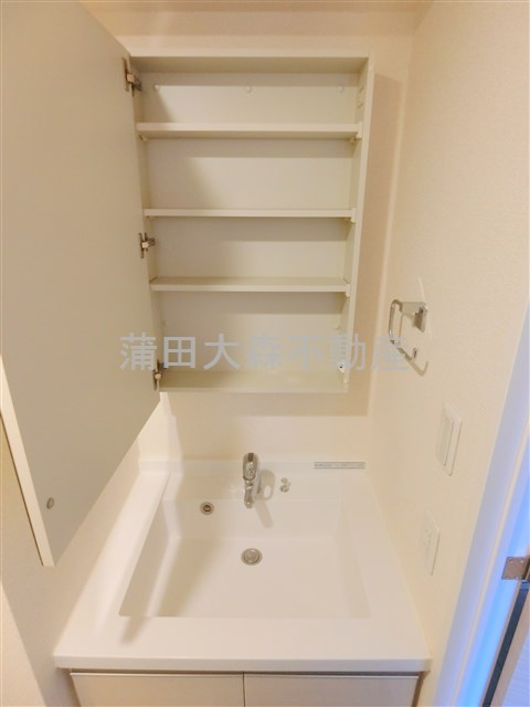 パークアクシス蒲田壱番館の洗面所