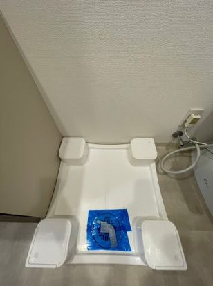 参考写真
