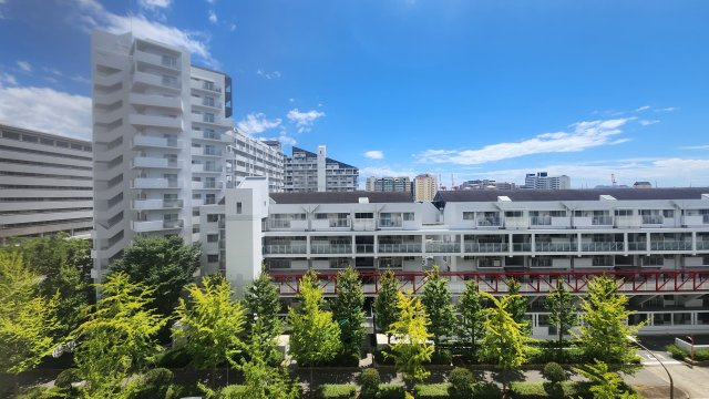 【展望】