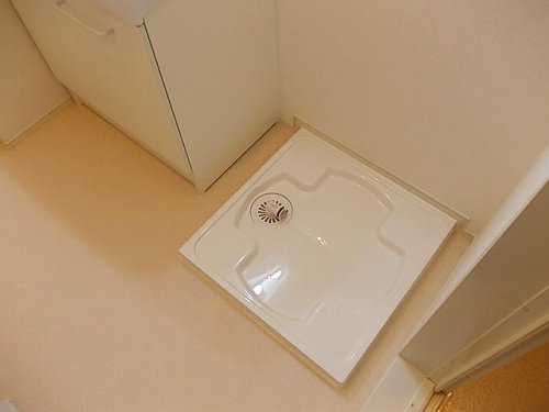 フィオレンティーナⅢのその他