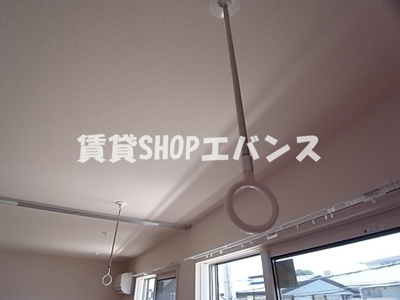  | カメリア