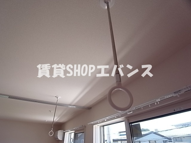  | カメリア