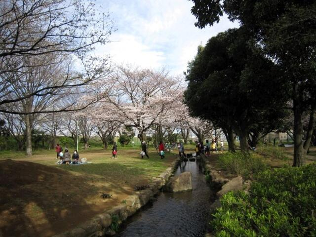 菅マンションの庭|稲田公園まで359m