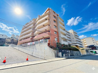 サングレイス新杉田　3階の画像