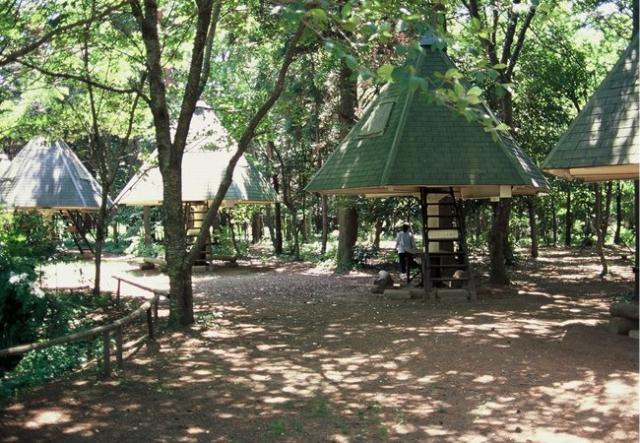 つくば市酒丸新築アパート（仮のその他|ゆかりの森まで1,442ｍ