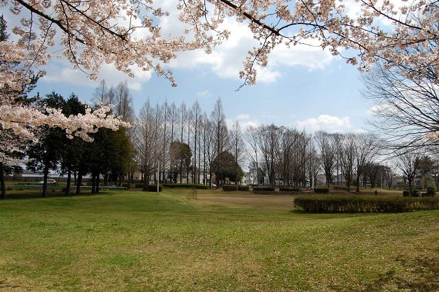 グランディール高野台の周辺|高野台公園まで447ｍ