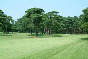 エトワールAのその他|常陽カントリー倶楽部まで2,232ｍ