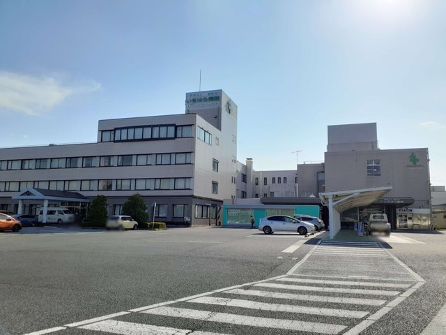 Ｅ・Ｋ・Ｈａｍｌｅｔ　Ｂのその他|その他