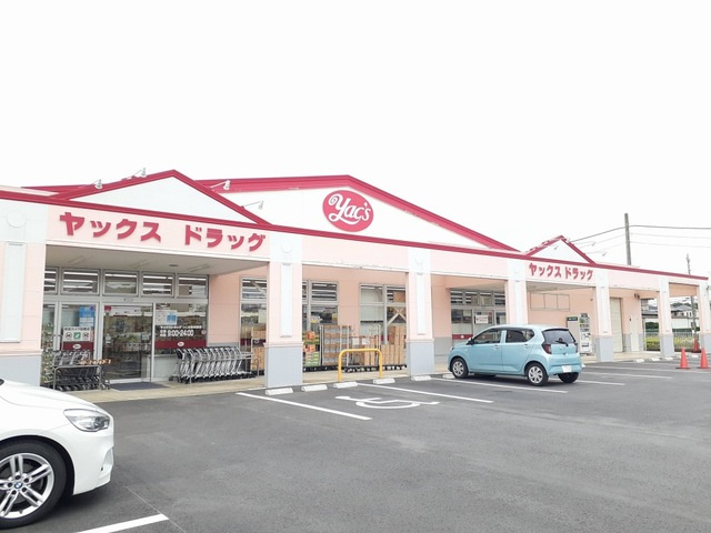 デスパシオのその他|その他