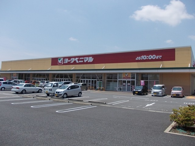 アヴァンティ　Ⅰのその他|その他