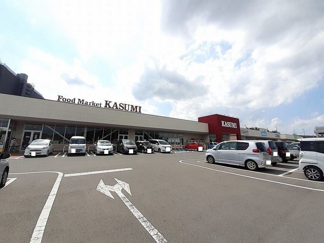 ステラートのその他|その他