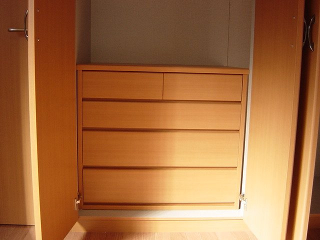 アメニティハイツＫの収納|収納内タンス