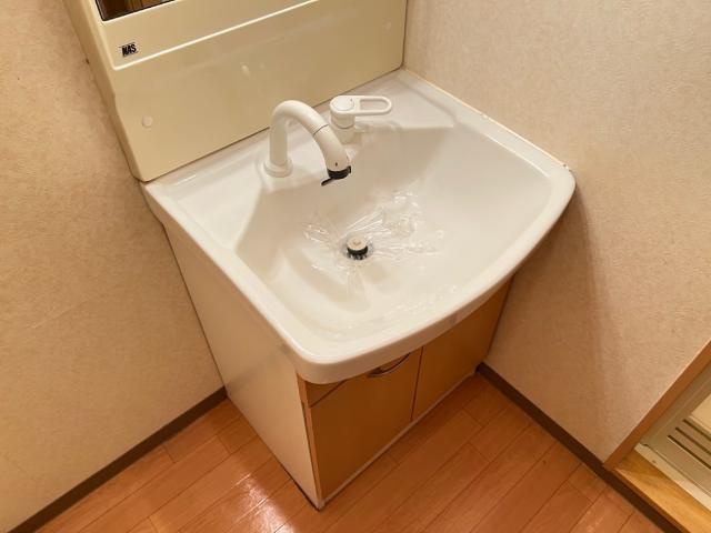 KASUMIヒルズの洗面所|洗面
