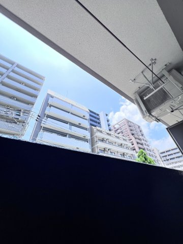 La Luce ynの展望