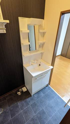 ディアコート蔵子Cの洗面所