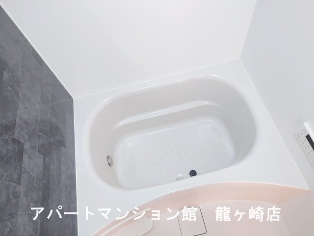 Front du lacの浴室