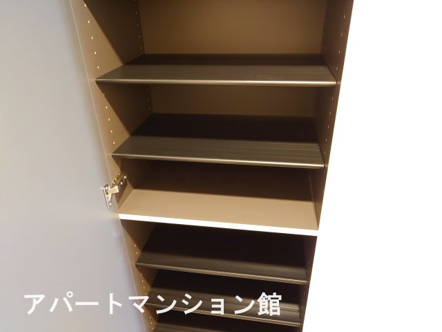 ソラリス　Solarisの収納