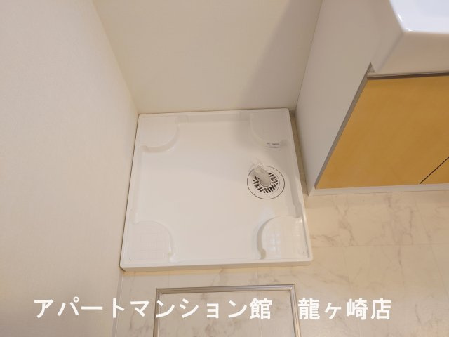 ブルーベリーのその他