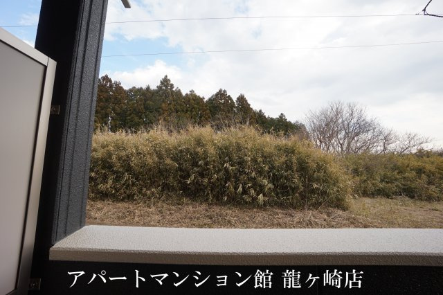 Reizen Ⅱの展望
