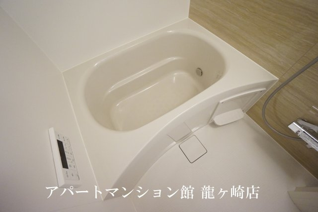 Front du lacの浴室