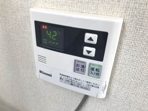タウニイソウワＡのその他