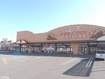 宇都宮市雀の宮1丁目　202.36㎡　売地の周辺|フードオアシスＯＴ…まで1662m
