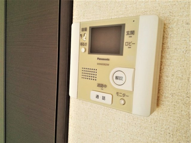 レオネクストコスモスのその他