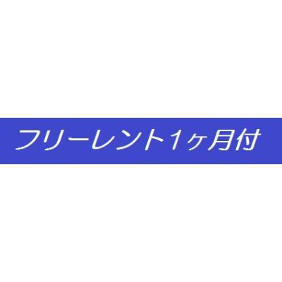 パークアクシス辰巳ステージの周辺