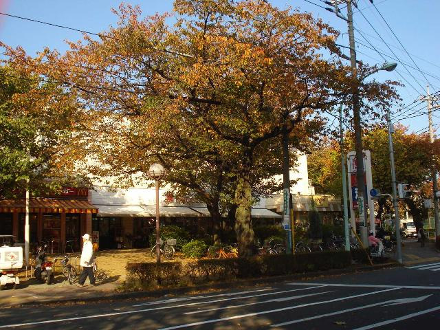 エビスヤ（ＥＢＩＳＵＹＡ） 壱番館の周辺|大丸ピーコック国立さくら通り店まで378ｍ
