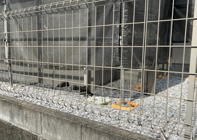 【構造・工法・仕様】 | 林中古戸建 | 建物の基礎工事の方法は、主流となっているベタ基礎（防湿基礎）と布基礎の２種類に分類され、床下の通気性や耐久性などに違いがあります。建物の基礎部分の構造や付帯設備など詳細については現地でご確認ください。
