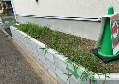 【庭】 | 長房新築戸建 | 庭があることでガーデニングや家庭菜園はもちろん、こどもの遊び場やペットを放して遊ぶことができます。また、家の周囲に余裕があるということです。隣地との間があれば、十分な日当たりと、風通しが確保できます。