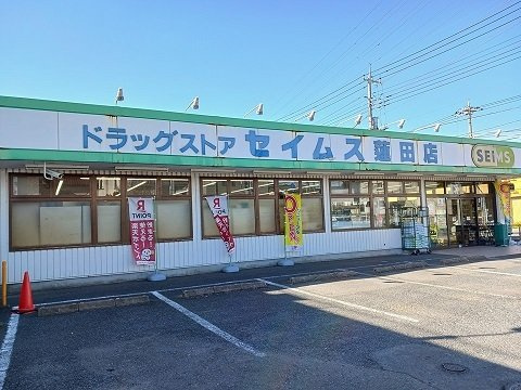 エルディムリバーサイドの周辺|セイムスまで1200m