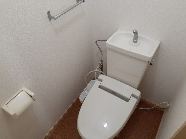 エルディムリバーサイドのトイレ