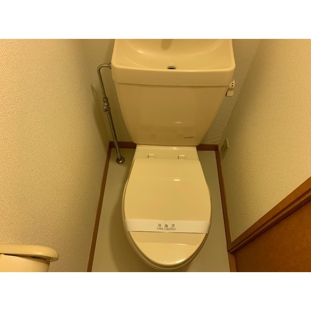 パレスカーマのトイレ