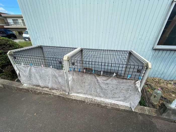 パストラル　Ｍ
