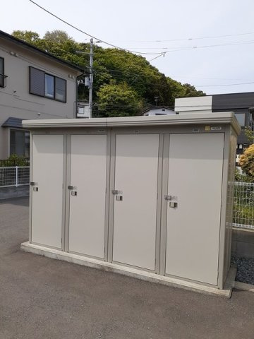 シャインのその他