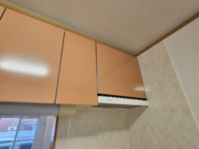 レーヴフロンスＡのその他