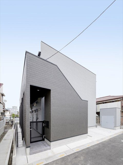 Oikos蕨(オイコスワラビ)の画像