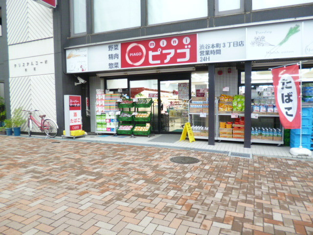 シェモアⅡのその他|ピアゴ