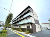 WHITE BIRCHの画像