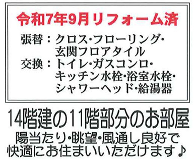 【その他】 | ダイアパレス海老名　11階　3LDKリフォーム済み【仲介手数料無料】