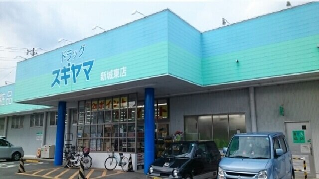 Ｓａｖｏｒｙ　Ｓｑｕａｒｅ　Ⅰの周辺|ドラッグスギヤマ新城東店様まで1050m