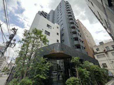 ライオンズミレス蔵前の外観|外観もきれいです