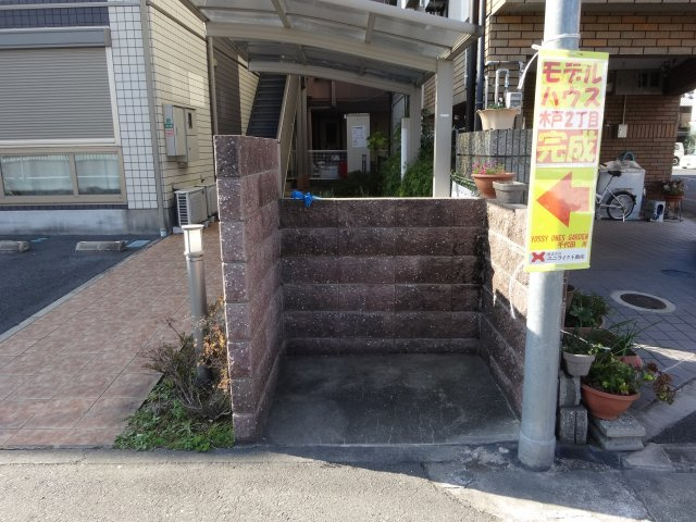 クリプトメリアの周辺