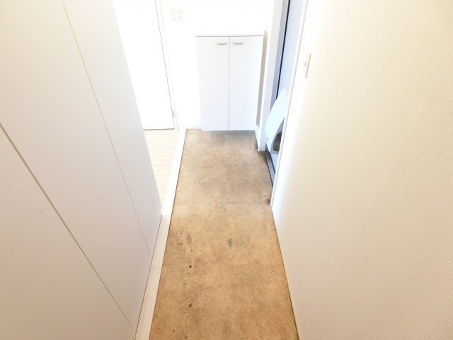 クリプトメリアの玄関