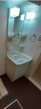 フェリオコーポの洗面所