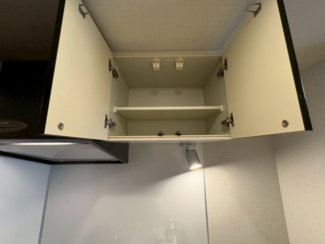 ブレシア銀座イーストの収納|収納豊富です