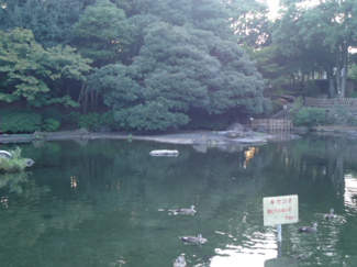 【周辺】 | クレイシア戸越公園