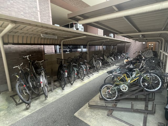 エバーライフ熊本中央の駐車場