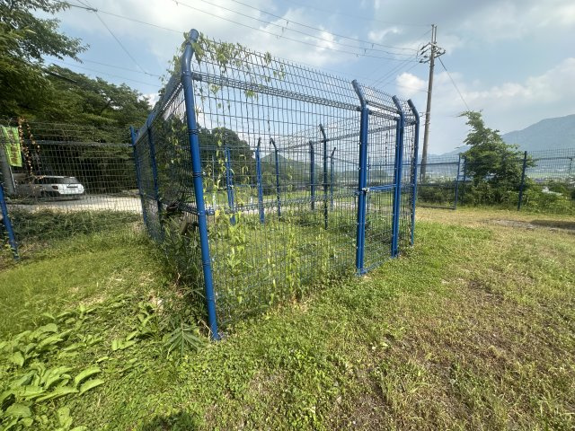 ドックランのあるお家の庭